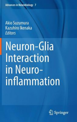 Książka Neuron-Glia Interaction in Neuroinflammation Akio Suzumura