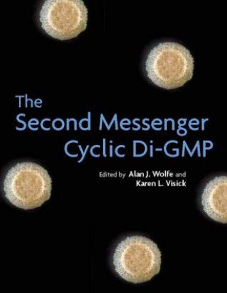 Knjiga Second Messenger Cyclic Di-GMP Alan J. Wolfe