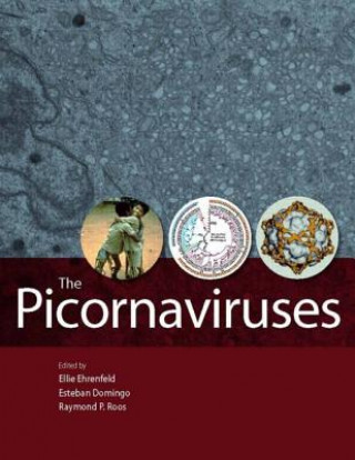 Könyv Picornaviruses Ellie Ehrenfeld
