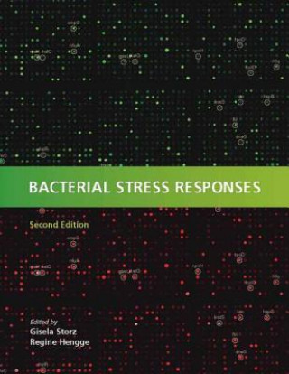 Könyv Bacterial Stress Responses G. T. Stortz