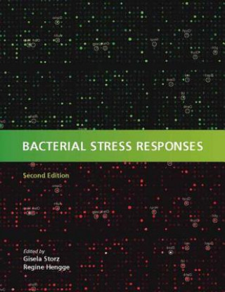 Buch Bacterial Stress Responses G. T. Stortz