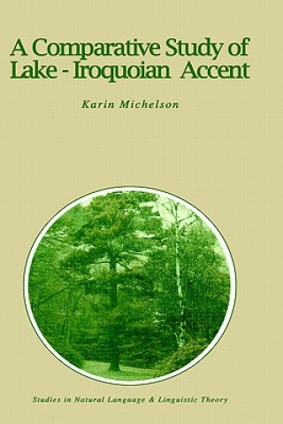Könyv Comparative Study of Lake-Iroquoian Accent K.E. Michelson