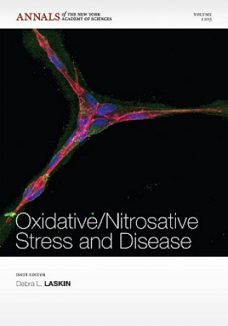 Knjiga Oxidative / Nitrosative Stress and Disease, Volume 1203 Debra L. Laskin