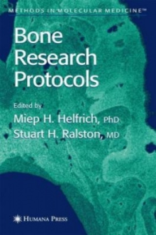 Książka Bone Research Protocols Miep H. Helfrich