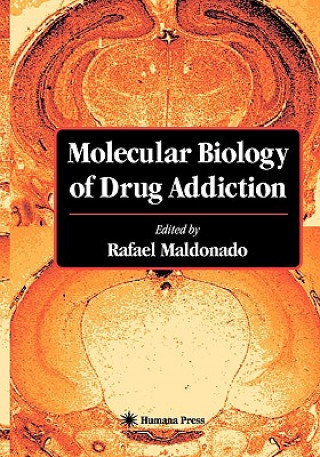 Könyv Molecular Biology of Drug Addiction Rafael Maldonado