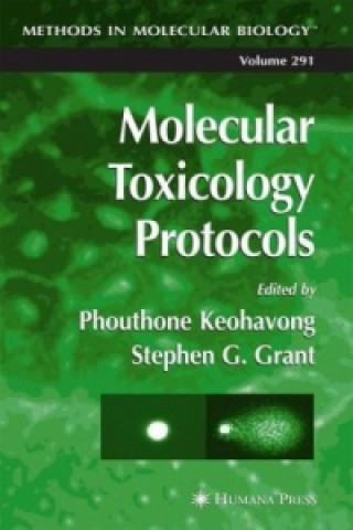 Książka Molecular Toxicology Protocols Phouthone Keohavong