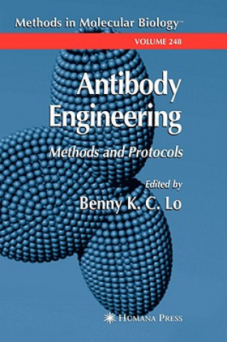 Kniha Antibody Engineering Benny K. C. Lo
