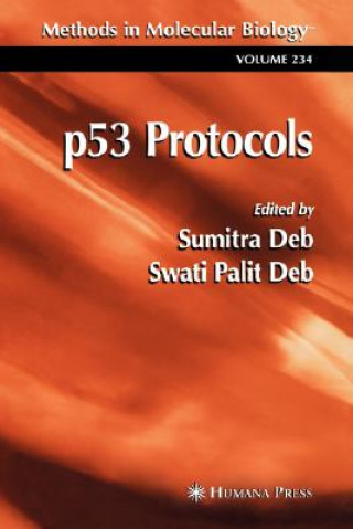 Kniha p53 Protocols Sumitra Deb