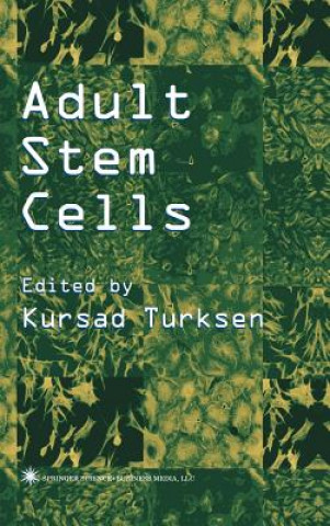 Kniha Adult Stem Cells Kursad Turksen