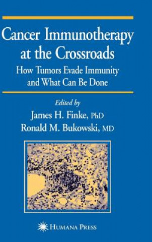Kniha Cancer Immunotherapy at the Crossroads James H. Finke