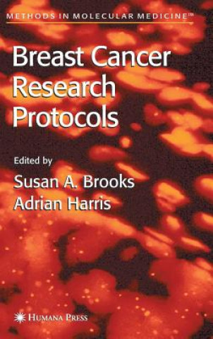 Könyv Breast Cancer Research Protocols Susan A. Brooks