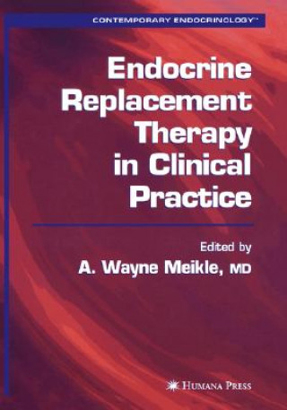 Buch Endocrine Replacement Therapy in Clinical Practice A. Wayne Meikle