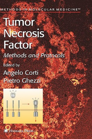 Könyv Tumor Necrosis Factor Angelo Corti