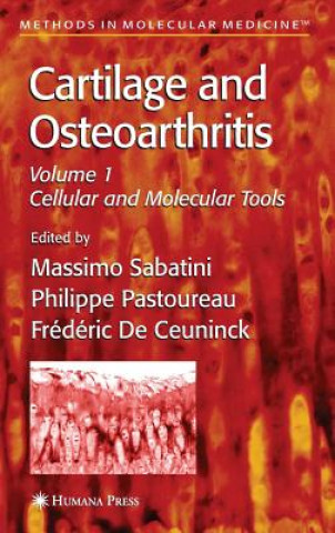 Kniha Cartilage and Osteoarthritis Massimo Sabatini