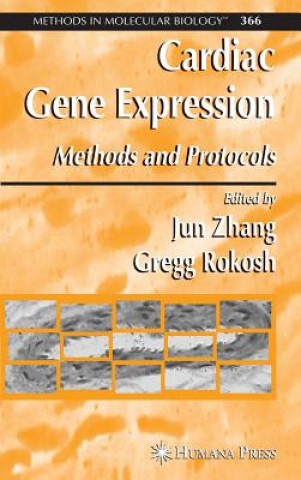 Book Cardiac Gene Expression Jun Zhang