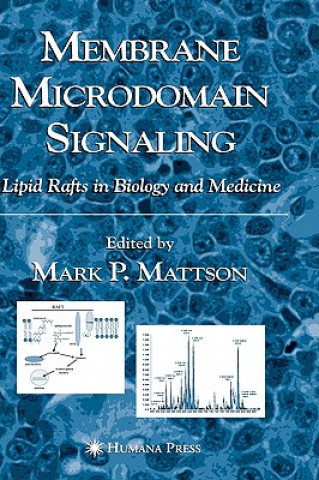Könyv Membrane Microdomain Signaling Mark P. Mattson