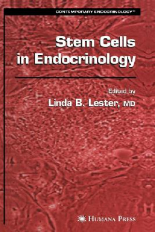 Kniha Stem Cells in Endocrinology Linda B. Lester