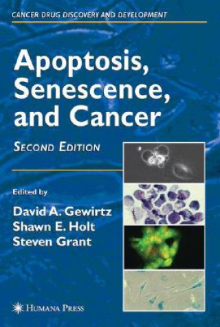 Kniha Apoptosis, Senescence and Cancer David A. Gewirtz