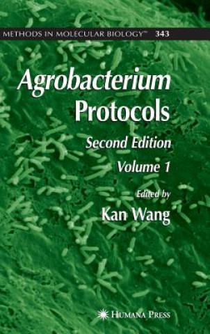 Book Agrobacterium Protocols Kan Wang