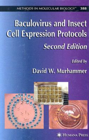 Kniha Baculovirus and Insect Cell Expression Protocols David W. Murhammer