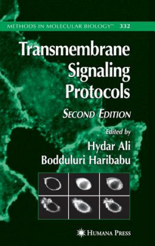 Książka Transmembrane Signaling Protocols Hydar Ali