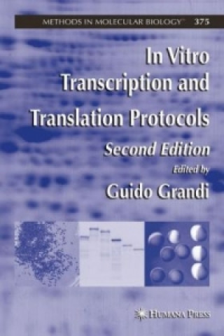 Knjiga In Vitro Transcription and Translation Protocols Guido Grandi