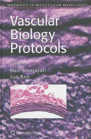 Kniha Vascular Biology Protocols Nair Sreejayan