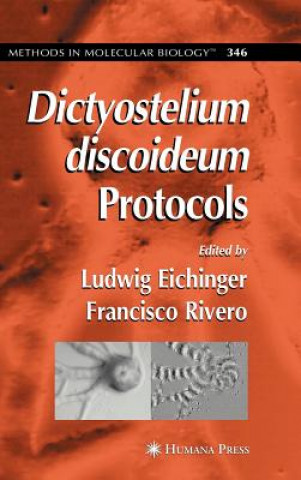 Kniha Dictyostelium discoideum Protocols Ludwig Eichinger