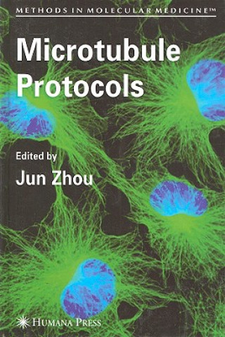 Könyv Microtubule Protocols Jun Zhou