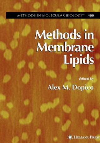 Book Methods in Membrane Lipids Alex Dopico