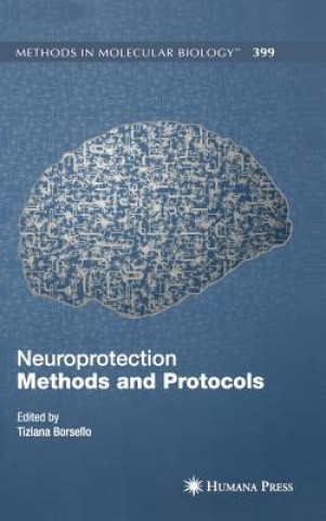 Kniha Neuroprotection Methods and Protocols Tiziana Borsello