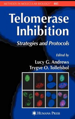 Book Telomerase Inhibition Lucy Andrews