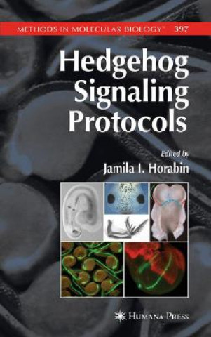 Könyv Hedgehog Signaling Protocols Jamila I. Horabin