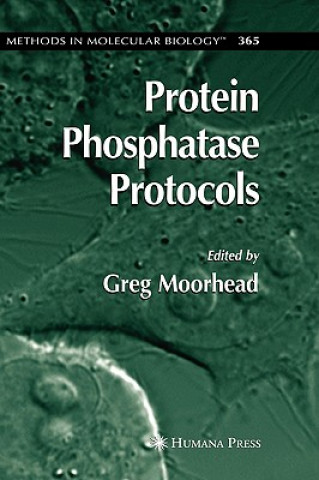 Boek Protein Phosphatase Protocols Greg Moorhead
