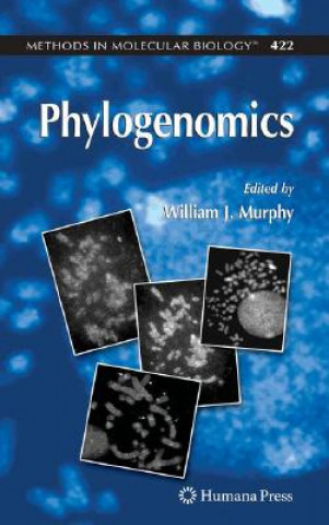 Kniha Phylogenomics William J. Murphy