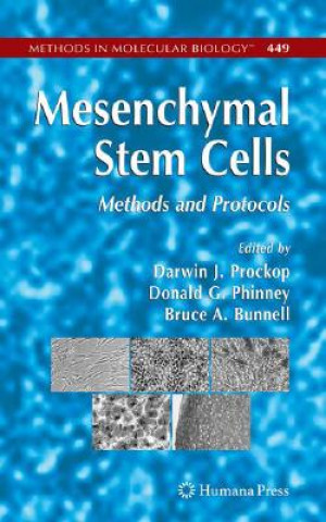 Könyv Mesenchymal Stem Cells D. J. Prockop