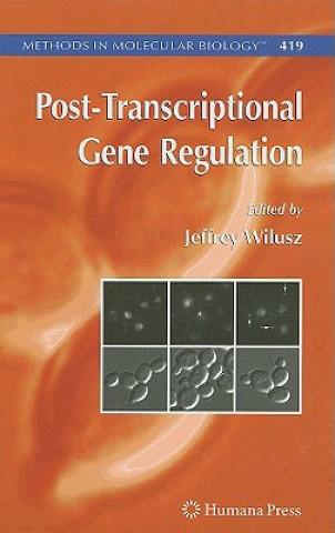 Carte Post-Transcriptional Gene Regulation Jeffrey Wilusz