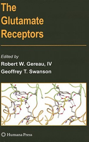 Buch Glutamate Receptors Robert W. Gereau