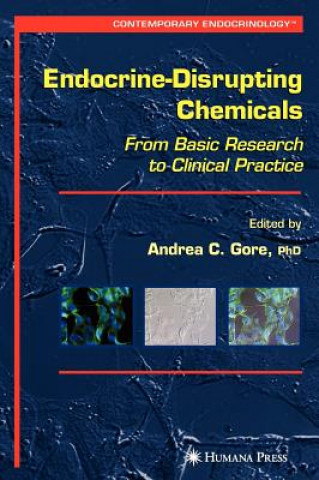 Könyv Endocrine-Disrupting Chemicals Andrea C. Gore