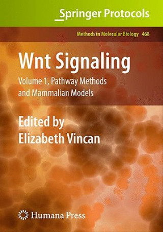 Libro Wnt Signaling Elizabeth Vincan