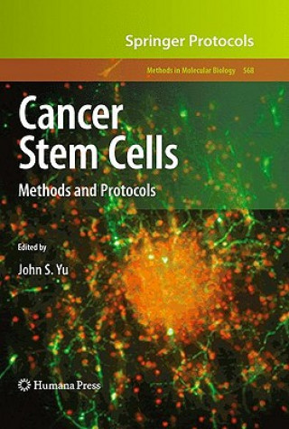 Kniha Cancer Stem Cells John S. Yu