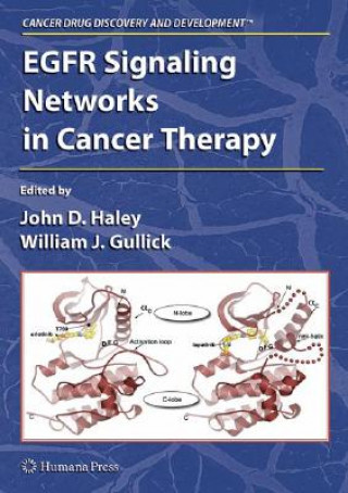 Kniha EGFR Signaling Networks in Cancer Therapy John D Haley