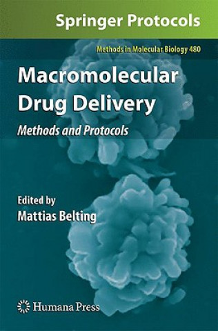 Βιβλίο Macromolecular Drug Delivery Mattias Belting