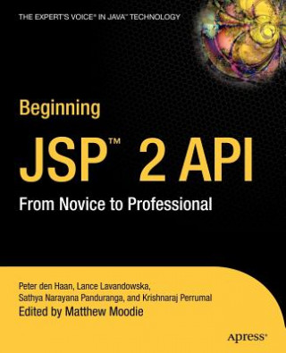 Kniha Beginning JSP 2 Matthew Moodie