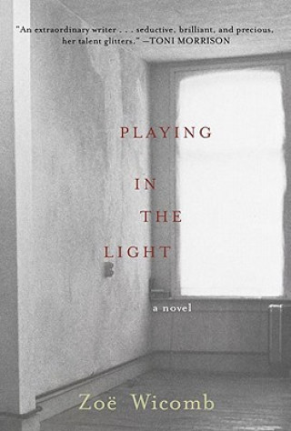 Könyv Playing In The Light Zoe Wicomb