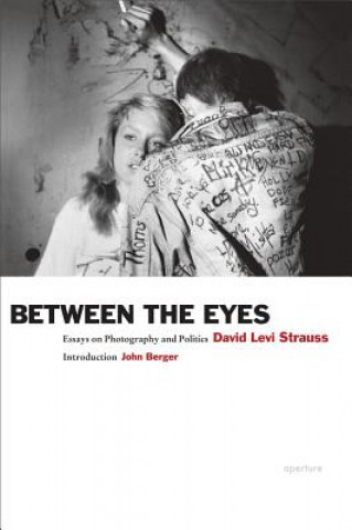 Book Between the Eyes David Levi Strauss