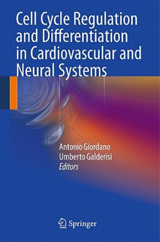 Kniha Cell Cycle Regulation and Differentiation in Cardiovascular and Neural Systems Antonio Giordano