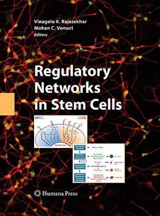 Książka Regulatory Networks in Stem Cells Vinagolu K. Rajasekhar