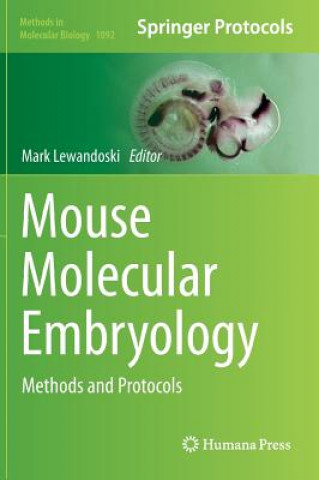 Kniha Mouse Molecular Embryology Mark Lewandoski