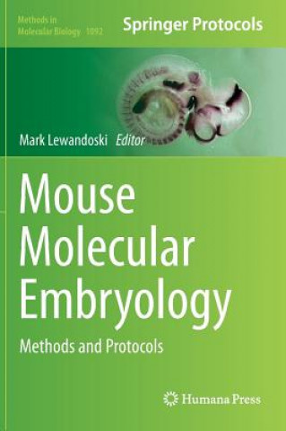 Book Mouse Molecular Embryology Mark Lewandoski